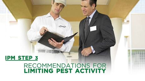 Protect Business From Pests