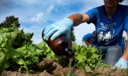 Could urine be the perfect fertilizer for your garden?
