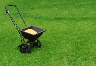 How to Fertilize Lawn in Fall