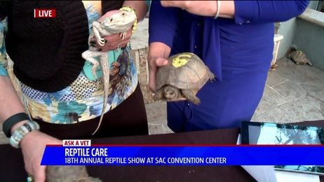 Ask a Vet: Dr. Jyl Talks Reptile Care
