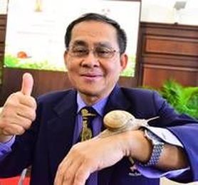 Two new species of Thai snails are tipped for cosmetics developments