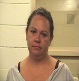 Woman Gets Child to Take Interlock Breath Test