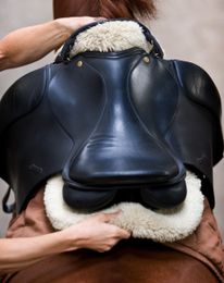 Sore Backs and Saddles