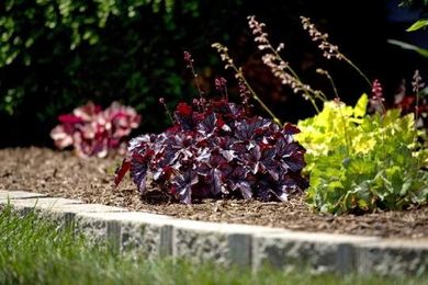 As plants grow and change shape, your home may be due for a landscape update
