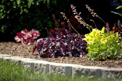 As plants grow and change shape, your home may be due for a landscape update