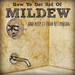 How To Get Rid Of Mildew And Keep It From Returning
