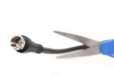 The Costs of Cutting the (Cable) Cord