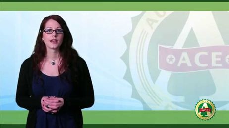 Truths About Auto Loan Modifications and Bad Credit Auto Loans