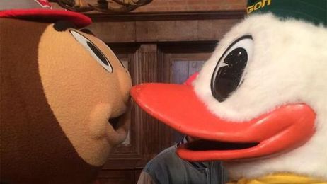 High Five: Socially Savvy Mascots