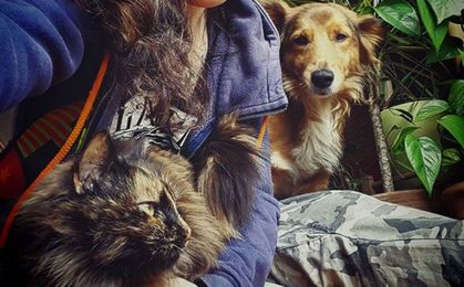 Your Dog Is Wired To Be Protective Of You (And Their Other Possessions)