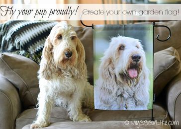 Create A Fun Photo Garden Flag With Flagology