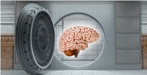 Google’s Knowledge Vault: What We Know So Far + a Possible Update