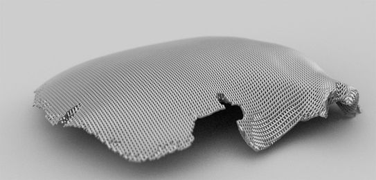 The Bizarre, Bony-Looking Future of Algorithmic Design