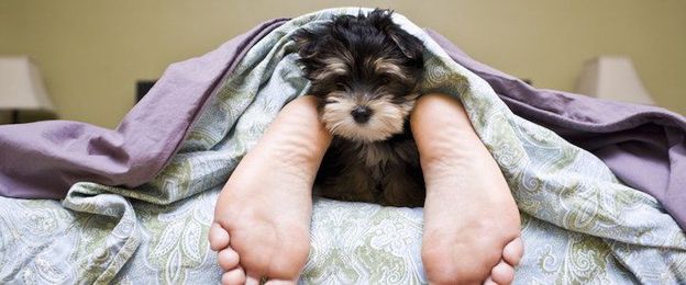 Insomnia? 9 Things That May Be Sabotaging Your Sleep