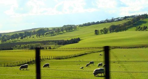 Keeping Estate Plans Current Protects Family Businesses