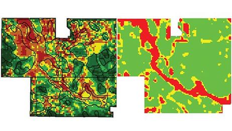 Straight lines on yield maps are man-made