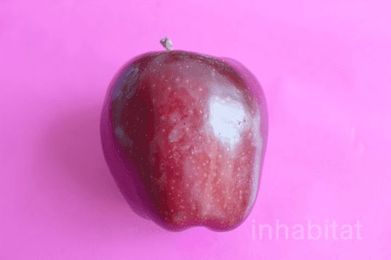 8 Foods You May Not Even Realize You're Wasting