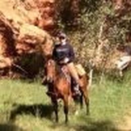 Using Cooler Sheets for Horses