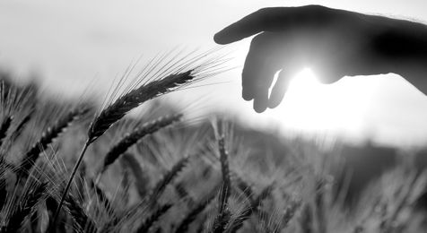 Food Environments, Health, and Local Policy