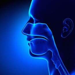 How Does an ENT Doctor Help You?