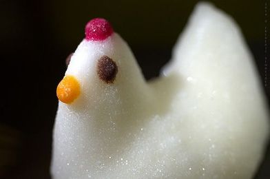 How Much Added Sugar Is a Lot?