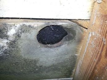Mold Remediation Companies .........Selecting The Right One