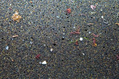 Microbeads and the Pacific Garbage Patch