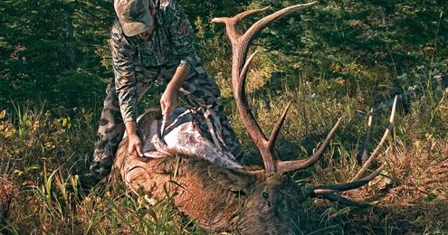 Cape and Meat Care: How to Keep Backcountry Game Fresh After the Kill