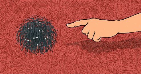 This is What Happens When You Poke a Daddy Longlegs Nest