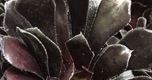 Design Report with Music! We Let The Good Times Roll