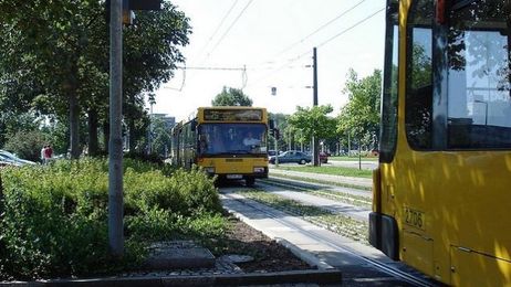 How to Ride Public Transportation Without Losing Your Mind