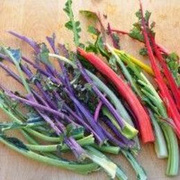 Taste It, Don't Waste It! Stems and Ribs