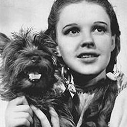 10 Famous Dogs and Cats