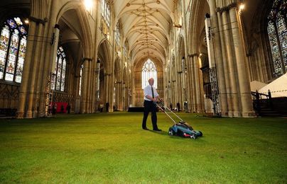 The Grass is Always Greener on the Inside