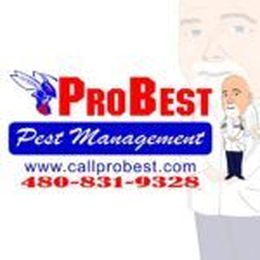 ProBest Pest Management ⋆ ProBest Pest Management Home Sealing Termite