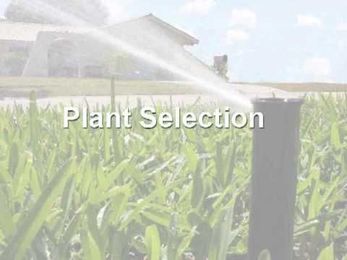 Seven Steps for Landscape Water Conservation