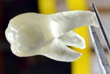These 3D-Printed Teeth Kill Oral Bacteria