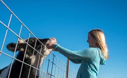 Want Your Child To Grow Up Strong And Healthy? Move To A Farm