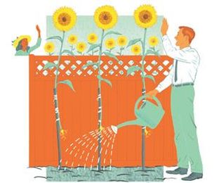 Carol Dweck Revisits the 'Growth Mindset'