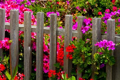 How to Set Limits Like Liz Gilbert