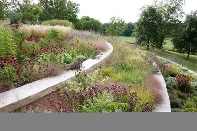 Sustainable Landscapes Through Smart Planting