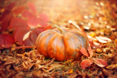 5 Halloween Restaurant Marketing Tips & Tricks