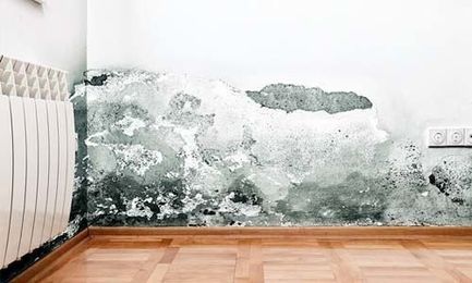 6 Ways Your Home Can Make You Sick