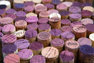 How to Set Up a Budget-friendly Home Wine Cellar