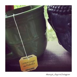 Have You Tried Bigelow Tea’s Lemon Ginger Herbal Tea Plus Probiotics?