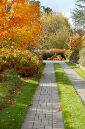 It's Fall Y'all. Landscaping Tricks and Treats