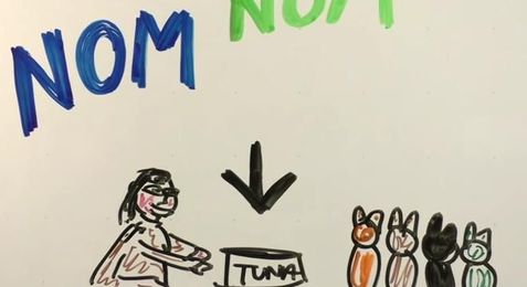 Why Are Black Cats Considered Bad Luck?