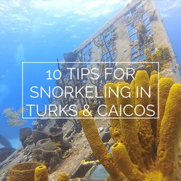 10 Snorkeling Tips and Tricks