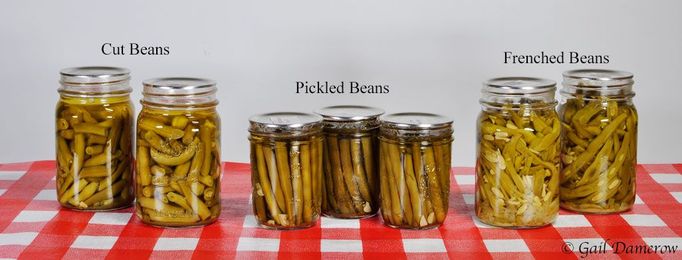 Growing and Canning Green Beans