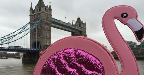 Guy takes flamingo handbag sightseeing to help out a stranger